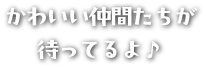 かわいい仲間たちが待ってるよ♪
