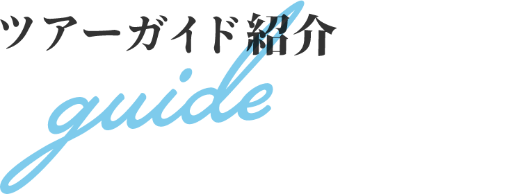 ツアーガイド紹介 consultant