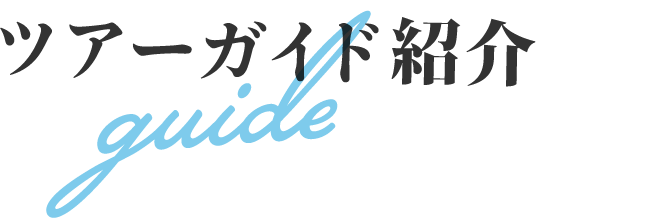 ツアーガイド紹介 consultant