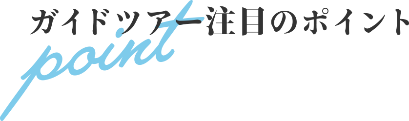 ガイドツアー注目のポイント point