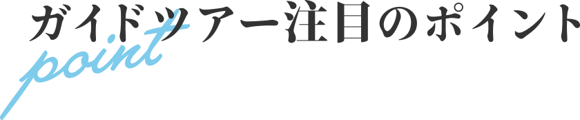 ガイドツアー注目のポイント point