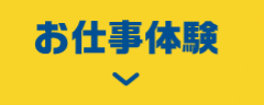 お仕事体験