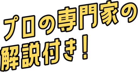 プロの専門家の解説付き！