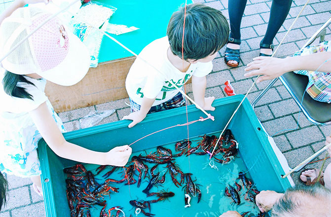 ザリガニを釣り上げるこども