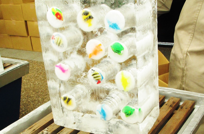 氷の中に埋め込まれたお宝
