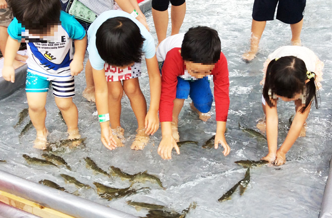 泳ぐ魚をつかみ取りする子どもたち