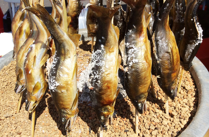 つかんでとった魚を焼いている写真