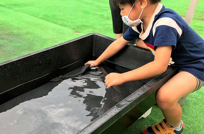 写真:うなぎを掴む男の子