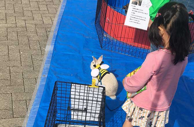 うさぎさんと お散歩!