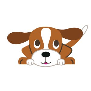 わん