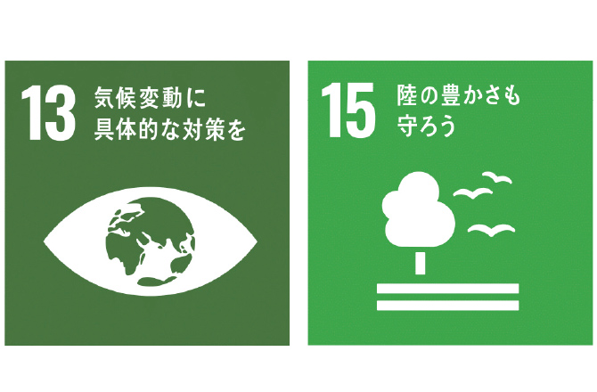 SDGs