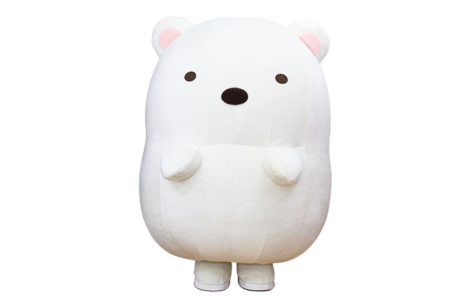 すみっコぐらし~すみっコのおべんきょう~