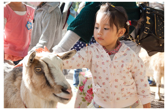 写真:羊を撫でる子ども
