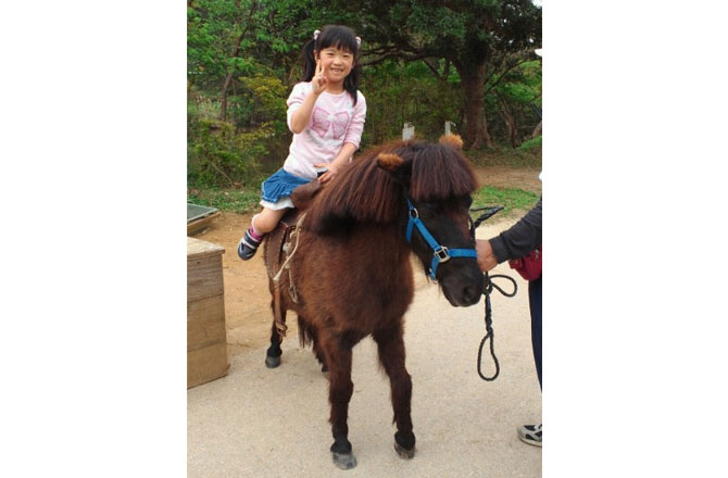 写真:ポニー乗馬体験