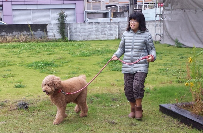 写真：犬の散歩をする女の子