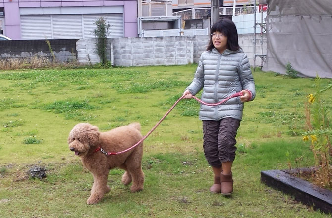 写真:犬の散歩をする女の子