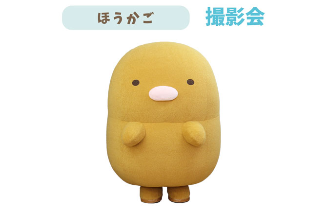 写真:すみっコぐらし とんかつ