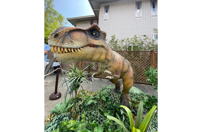 写真:ティラノサウルス
