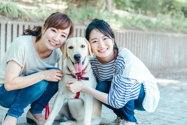 動物愛護