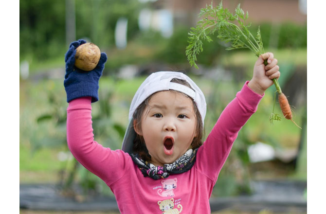 写真:野菜を収穫する女の子