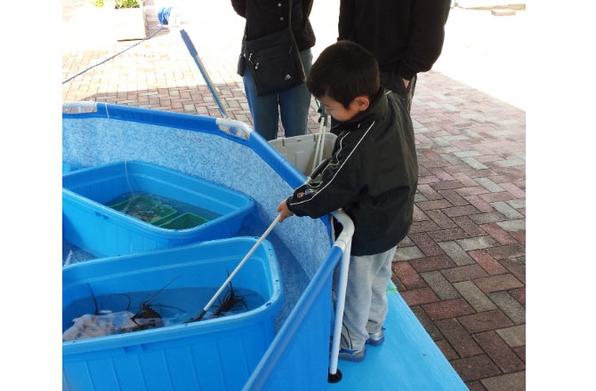 写真:貝を釣る男の子