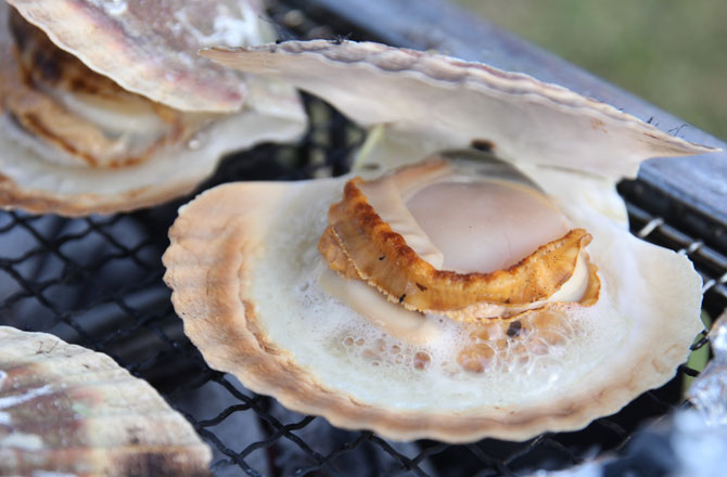 写真：貝の網焼き