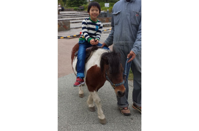 写真：ポニー乗馬体験