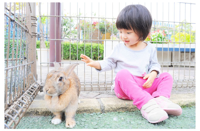 小動物えさやり体験＆ 餌やり体験