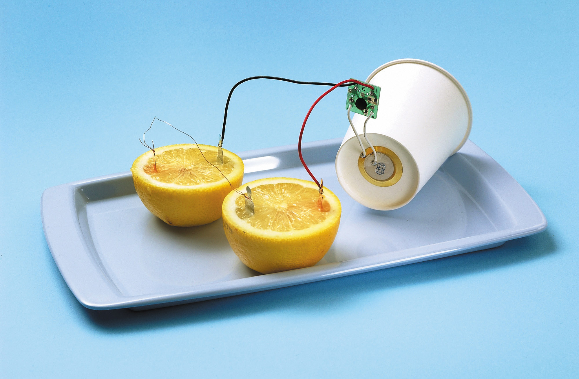 レモン電池
