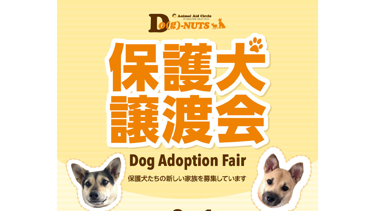保護犬・保護猫譲渡会