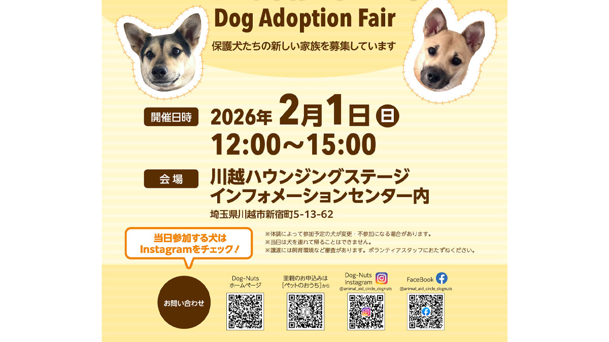 保護犬・保護猫譲渡会