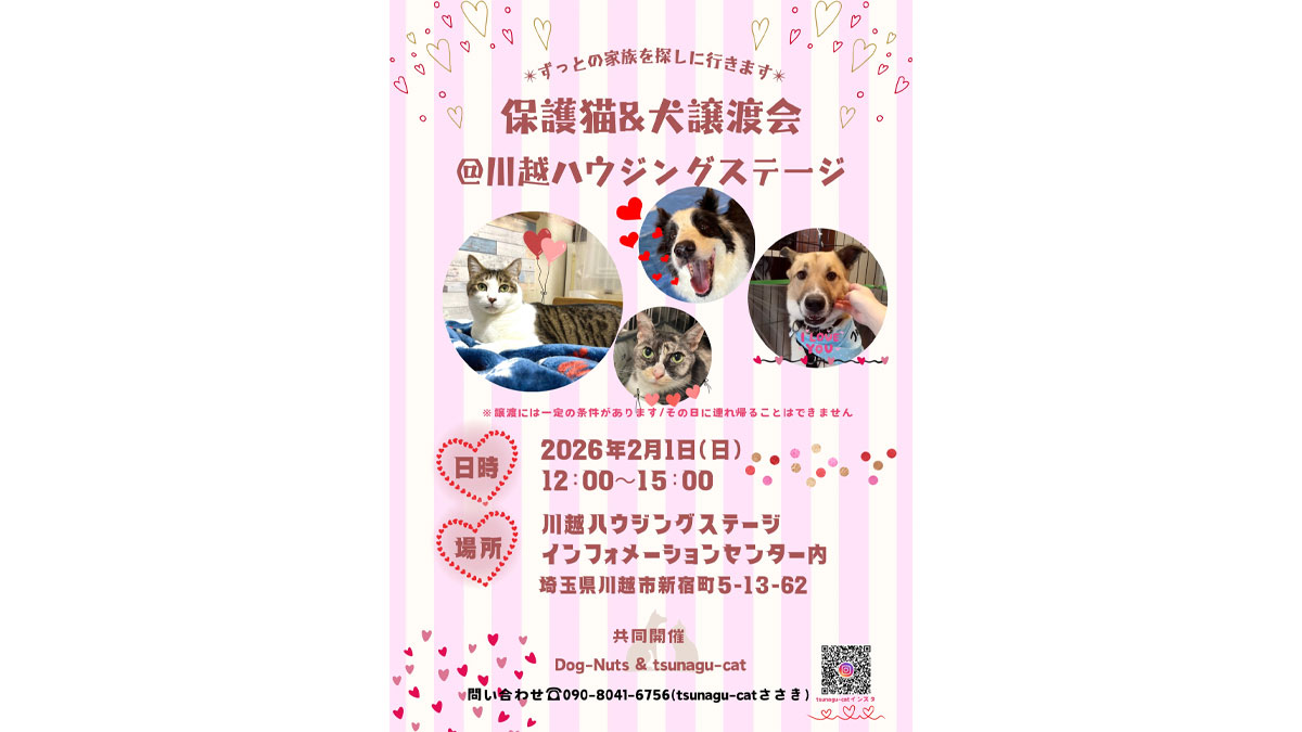 保護犬・保護猫譲渡会