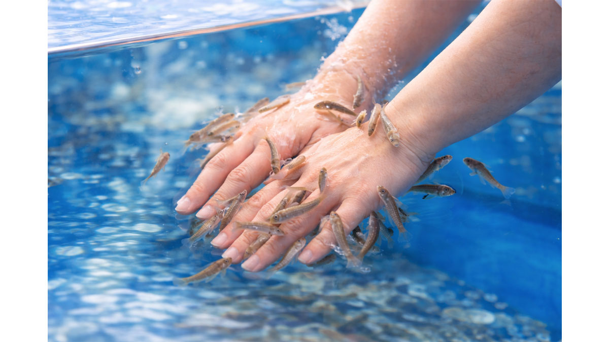 さわって発見！ふれあいアクアパーク