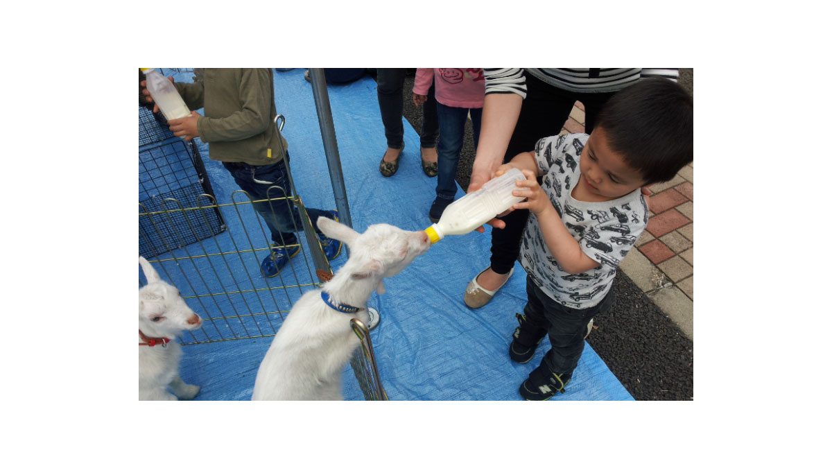仔やぎのミルクあげ＆牧場動物ふれあい広場