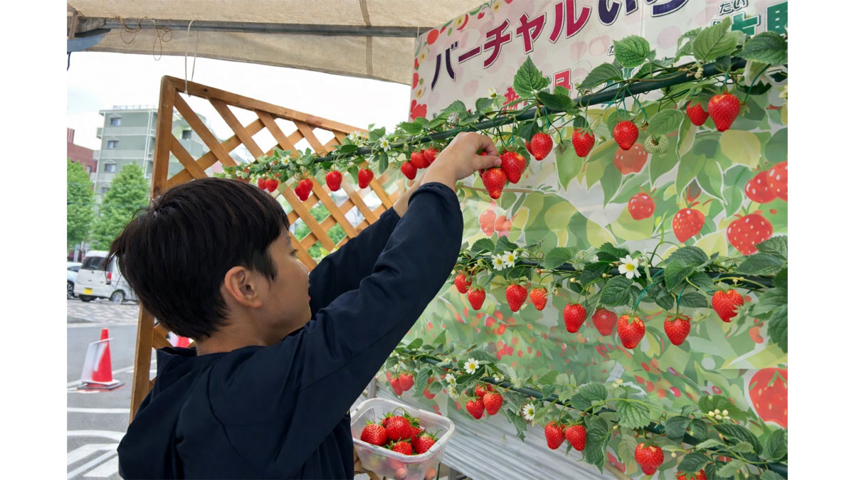 いちご狩り体験＆クレーププレゼント