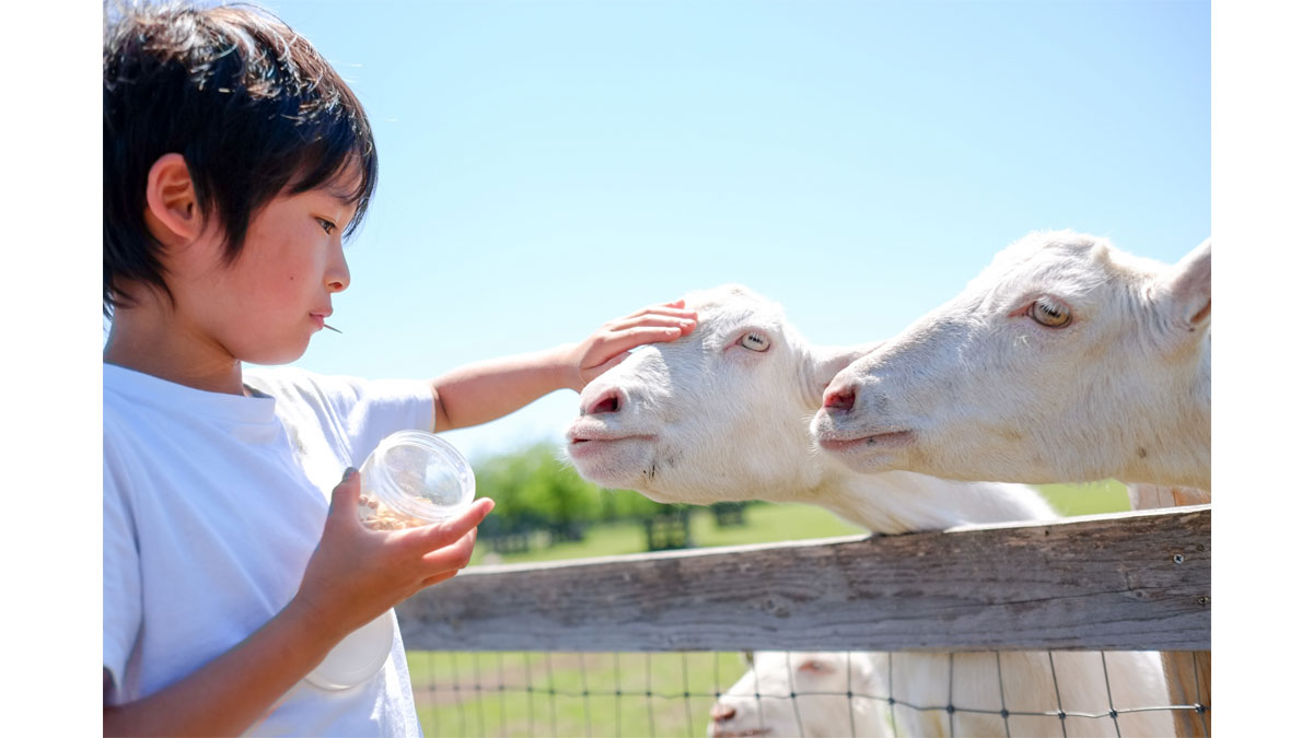 子どもの日特別イベント♪甲冑乗馬体験