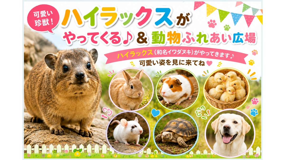 可愛い珍獣ハイラックスがやってくる！＆動物ふれあい広場
