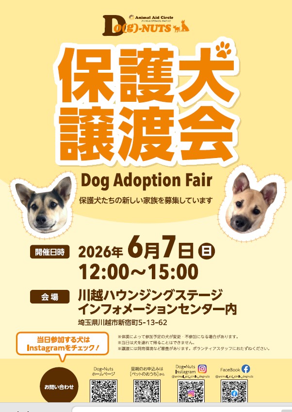 保護犬譲渡会