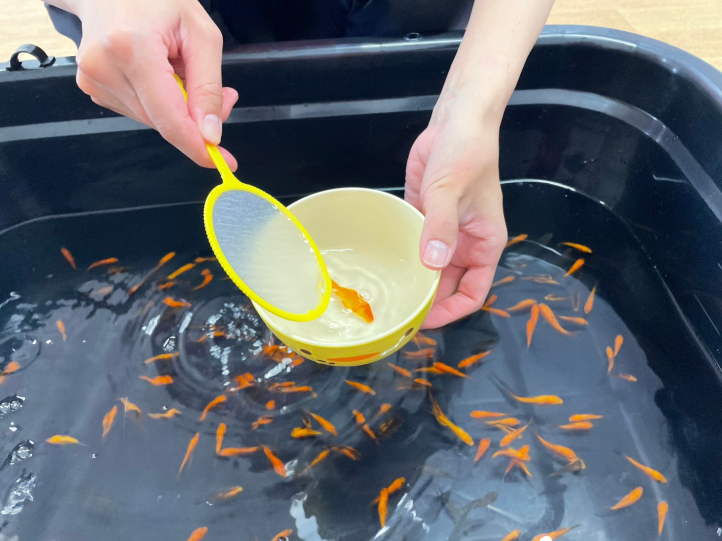 どうぶつたちと水あそび_モラージュ菖蒲ハウジングステージ
