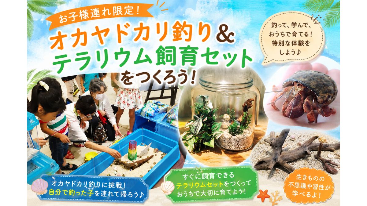 子どもたちがヤドカリをつっている様子