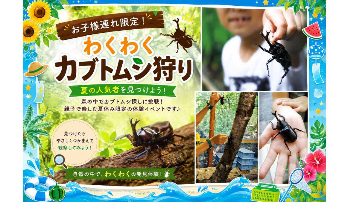 カブトムシ