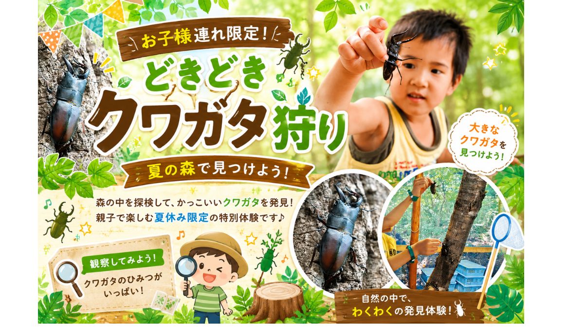 どきどきクワガタ狩り【お子様連れ限定！】