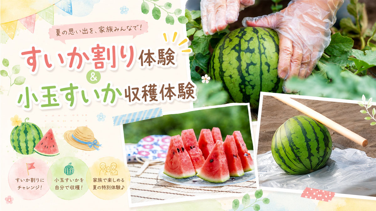 すいか割り体験＆小玉すいか収穫体験