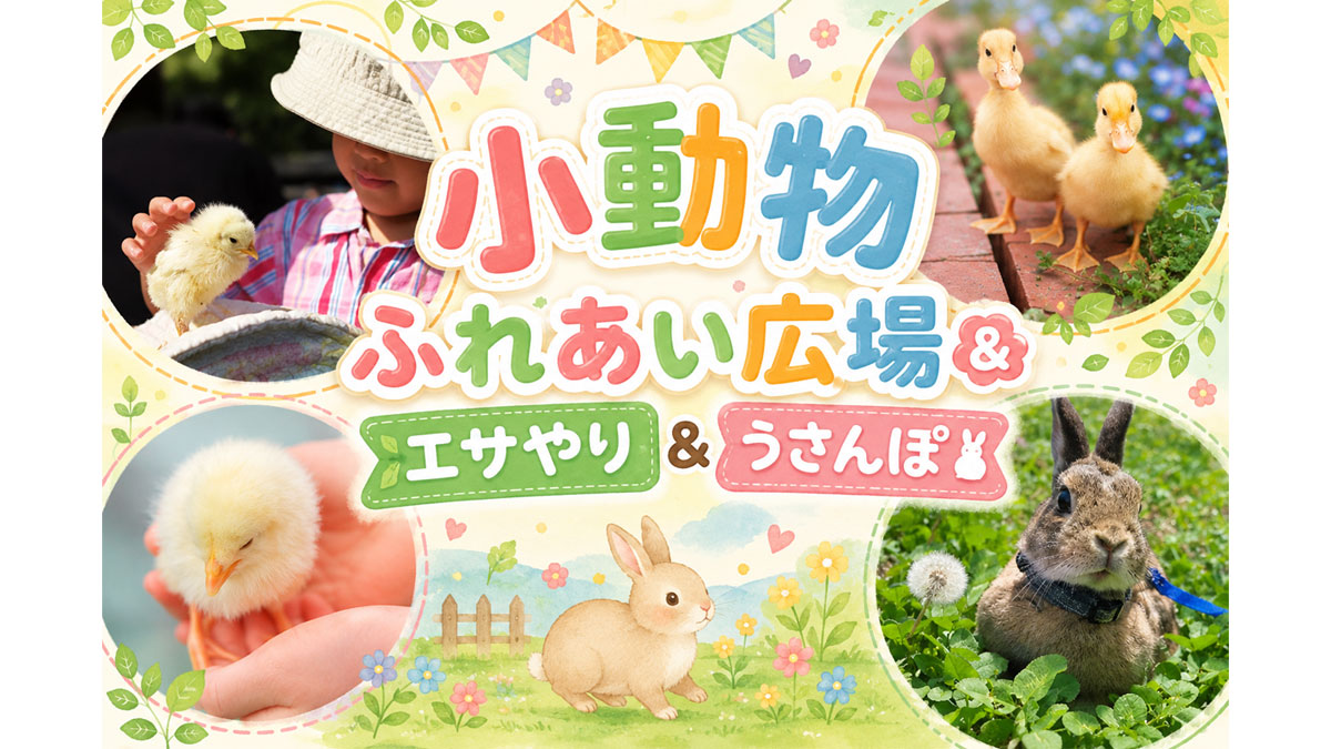 小動物ふれあい広場&エサやり&うさんぽ