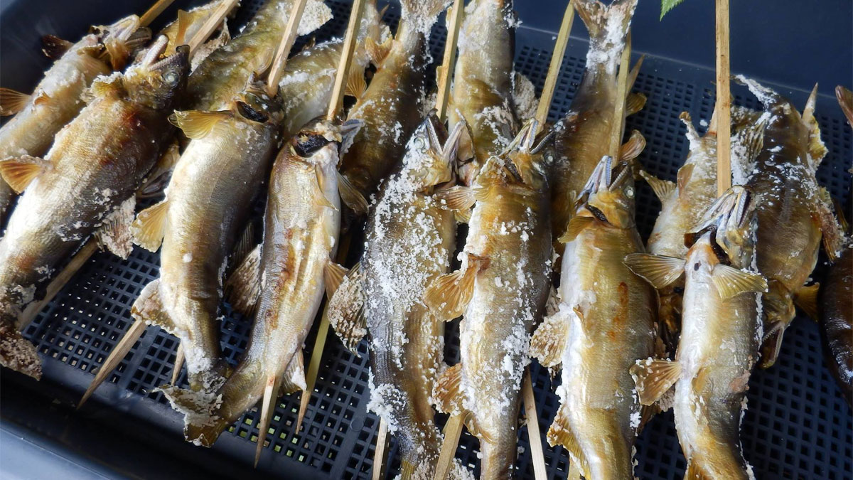 鮎のつかみ取り体験＆塩焼きプレゼント|新座・朝霞ハウジングステージのイベント情報