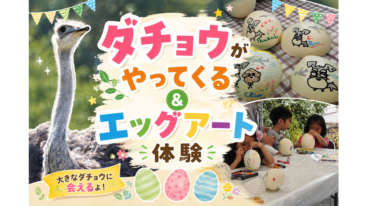 ダチョウがやってくる＆エッグアート体験|三郷ハウジングステージのイベント情報