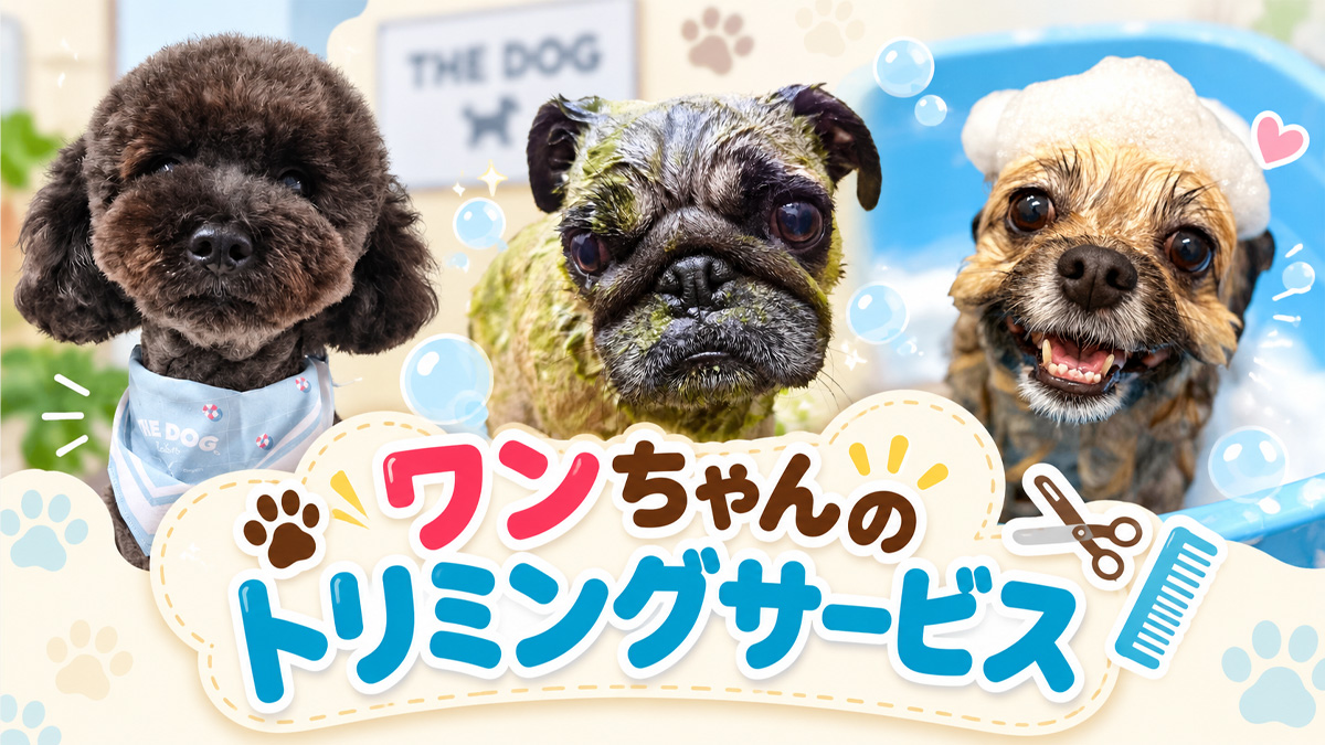 ワンちゃんのトリミングサービス|大宮北ハウジングステージのイベント情報