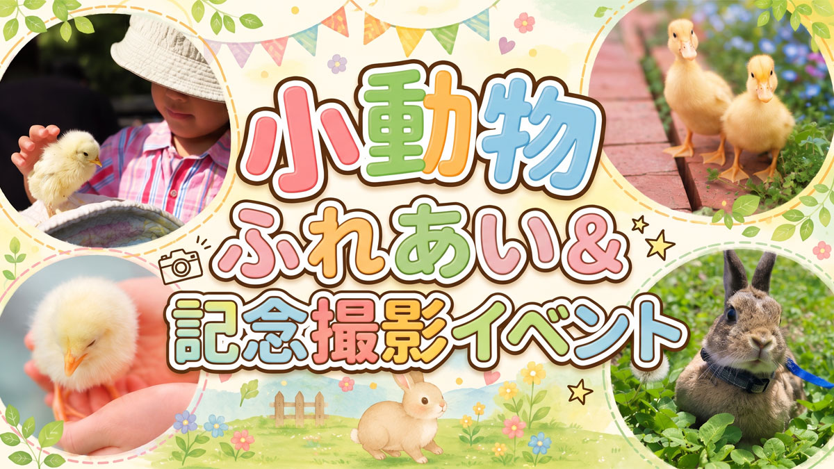 小動物のふれあい＆記念撮影イベント